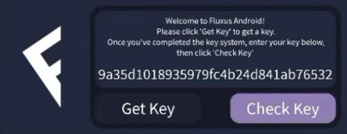 Get Fluxus Executor Key - Updated Method of 2025 11 check for the valid key